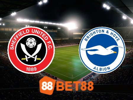 Soi kèo nhà cái Sheffield Utd vs Brighton – 21h00 – 18/02/2024